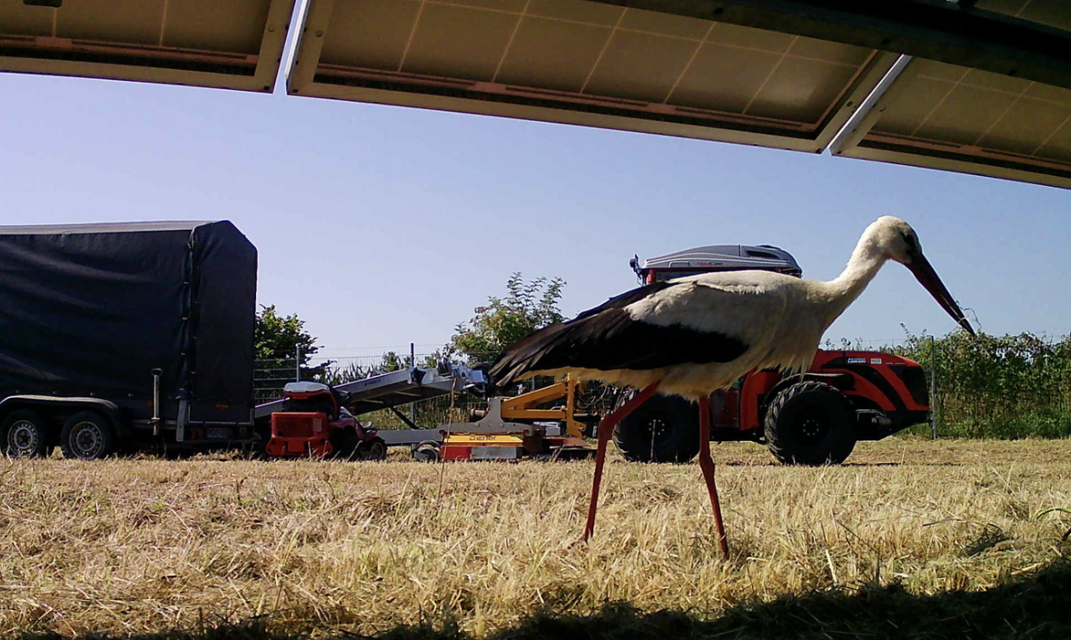 Naturschutz und Biodiversität