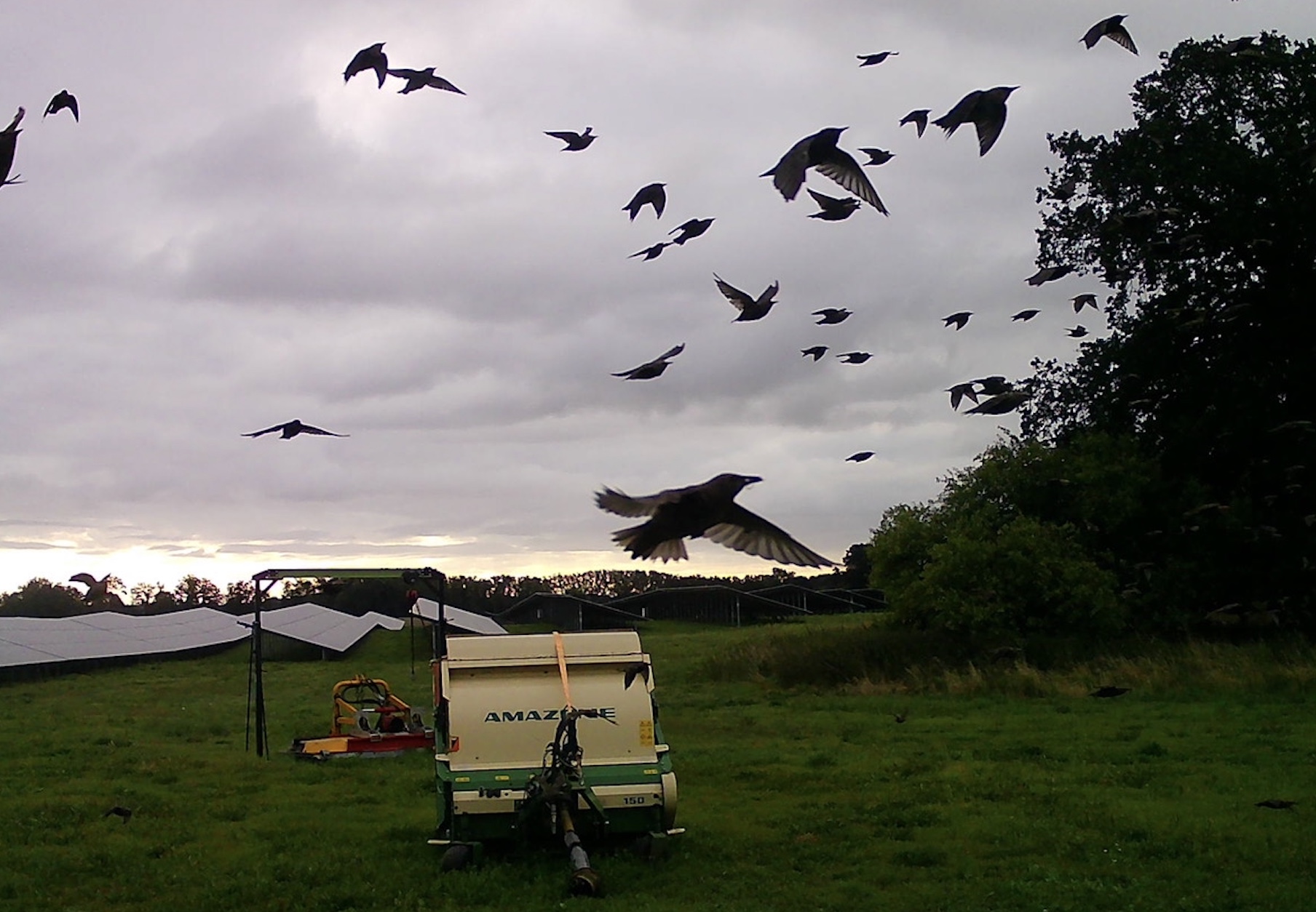 Naturschutz und Biodiversität