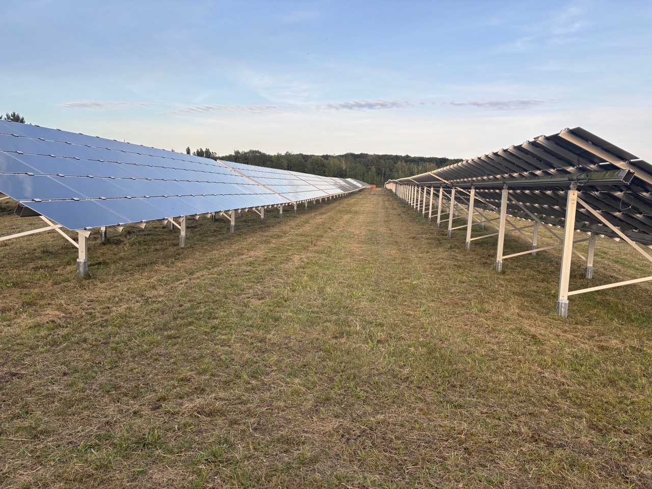 Vegetationspflege im Solarpark